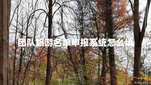 團(tuán)隊(duì)旅游名單申報(bào)系統(tǒng)怎么填