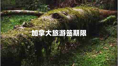 加拿大旅游簽期限 加拿大旅游簽期限