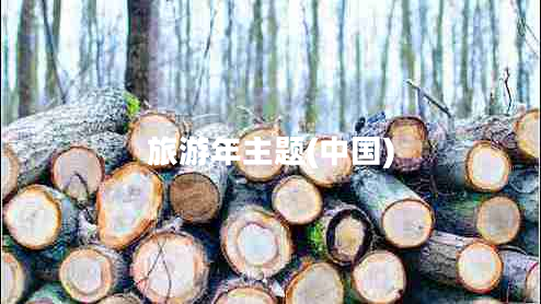 旅游年主題(中國) 旅游年主題(中國)