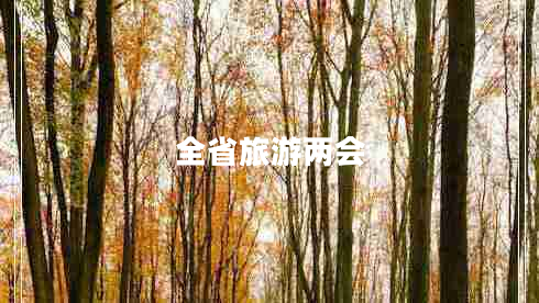 全省旅游兩會(huì)