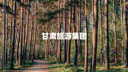 甘肅旅游集團(tuán) 甘肅旅游集團(tuán)