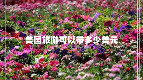 美國旅游可以帶多少美元 美國旅游可以帶多少美元