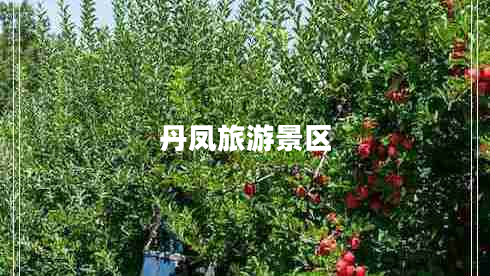 丹鳳旅游景區(qū)