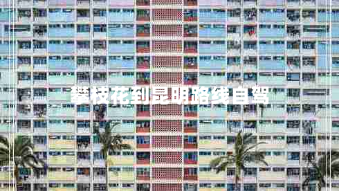 攀枝花到昆明路線自駕