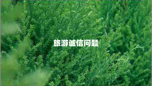 旅游誠信問題