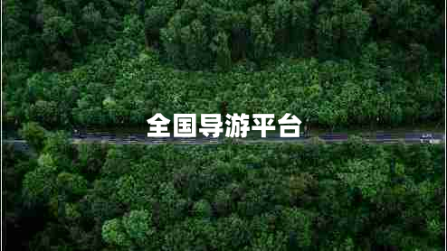 全國導(dǎo)游平臺 全國導(dǎo)游平臺