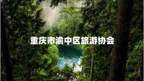 重慶市渝中區(qū)旅游協(xié)會(huì)