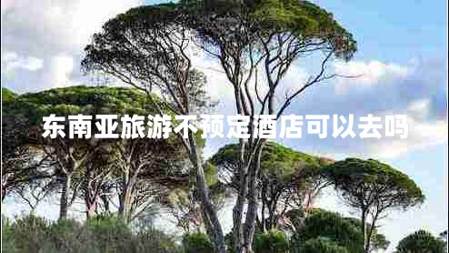 東南亞旅游不預定酒店可以去嗎