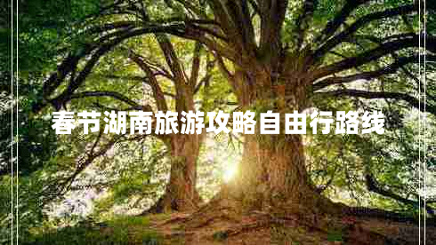 春節(jié)湖南旅游攻略自由行路線 春節(jié)湖南旅游攻略自由行路線