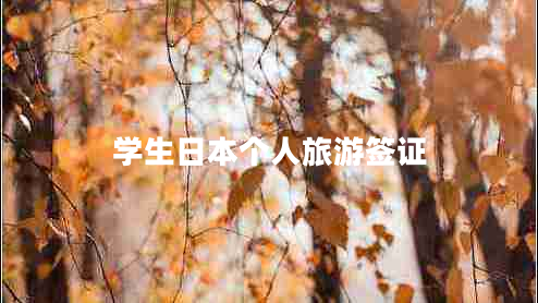 學(xué)生日本個(gè)人旅游簽證 學(xué)生日本個(gè)人旅游簽證