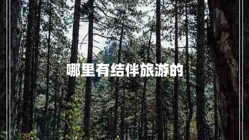 哪里有結(jié)伴旅游的 哪里有結(jié)伴旅游的