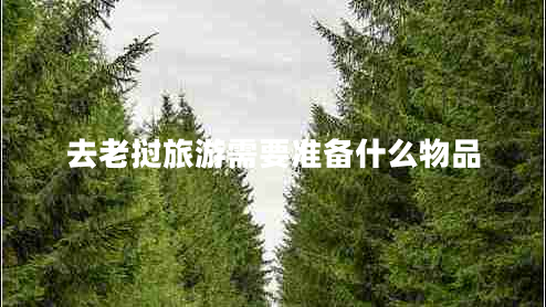 去老撾旅游需要準(zhǔn)備什么物品 去老撾旅游需要準(zhǔn)備什么物品
