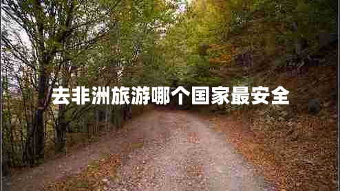 去非洲旅游哪個國家最安全