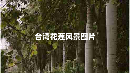 臺(tái)灣花蓮風(fēng)景圖片