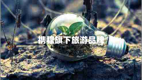 攜程旗下旅游品牌