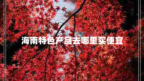 海南特色產(chǎn)品去哪里買便宜