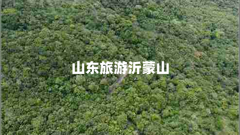 山東旅游沂蒙山