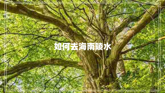 如何去海南陵水 如何去海南陵水