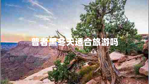 普者黑冬天適合旅游嗎