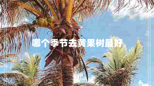 哪個季節(jié)去黃果樹最好 哪個季節(jié)去黃果樹最好