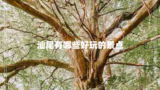 汕尾有哪些好玩的景點(diǎn) 汕尾有哪些好玩的景點(diǎn)