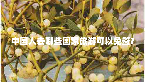 中國(guó)人去哪些國(guó)家旅游可以免簽? 中國(guó)人去哪些國(guó)家旅游可以免簽?
