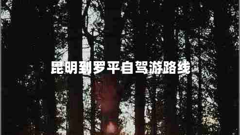 昆明到羅平自駕游路線 昆明到羅平自駕游路線