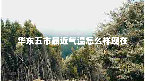 華東五市最近氣溫怎么樣現(xiàn)在