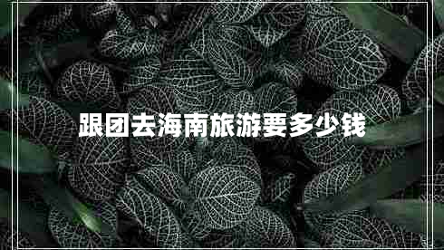 跟團去海南旅游要多少錢 跟團去海南旅游要多少錢