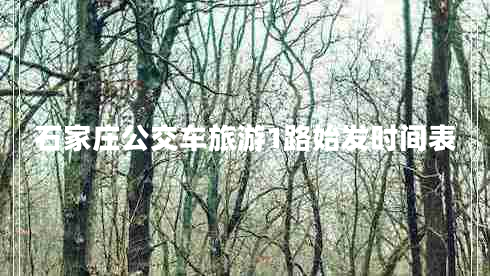石家莊公交車旅游1路始發(fā)時間表 石家莊公交車旅游1路始發(fā)時間表