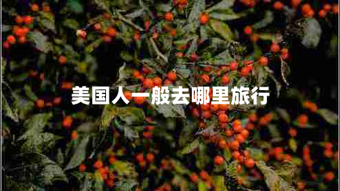 美國(guó)人一般去哪里旅行