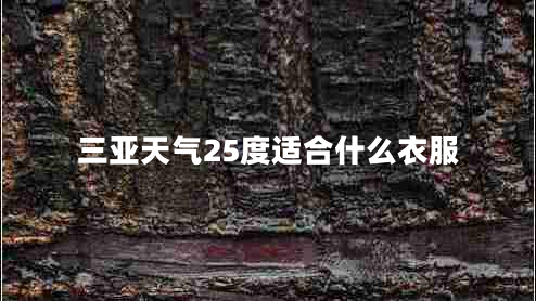 三亞天氣25度適合什么衣服
