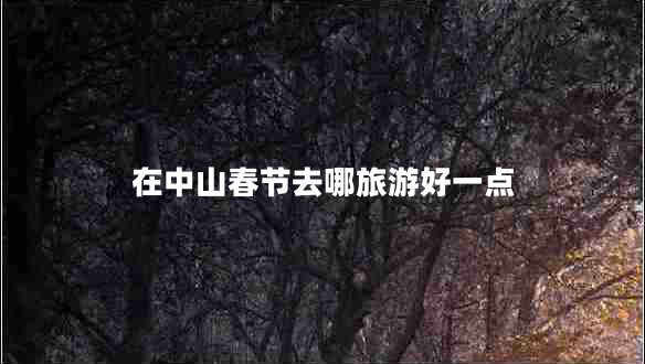 在中山春節(jié)去哪旅游好一點