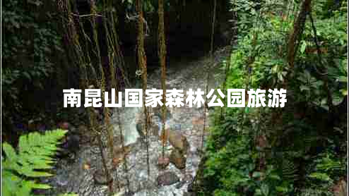 南昆山國家森林公園旅游 南昆山國家森林公園旅游