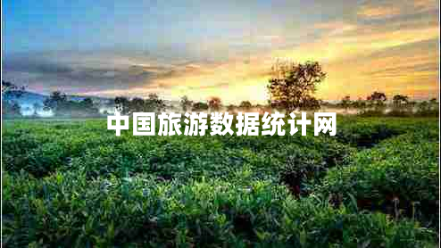 中國旅游數(shù)據(jù)統(tǒng)計網(wǎng)
