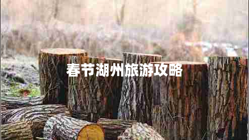 春節(jié)湖州旅游攻略 春節(jié)湖州旅游攻略