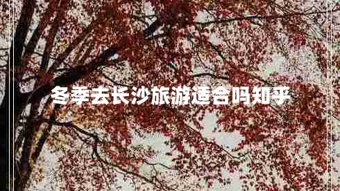 冬季去長(zhǎng)沙旅游適合嗎知乎