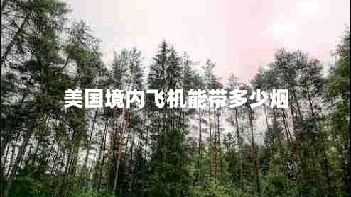 美國境內(nèi)飛機(jī)能帶多少煙 美國境內(nèi)飛機(jī)能帶多少煙