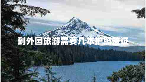 到外國旅游需要幾本護(hù)照簽證 到外國旅游需要幾本護(hù)照簽證