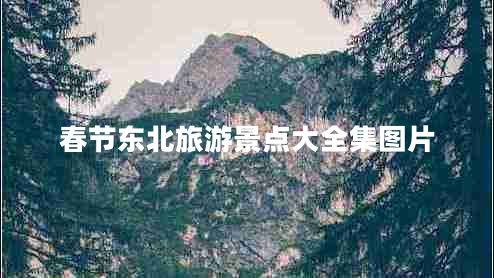 春節(jié)東北旅游景點(diǎn)大全集圖片 春節(jié)東北旅游景點(diǎn)大全集圖片