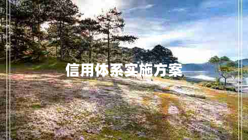 信用體系實施方案