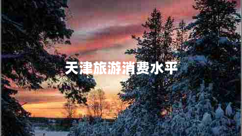 天津旅游消費水平 天津旅游消費水平