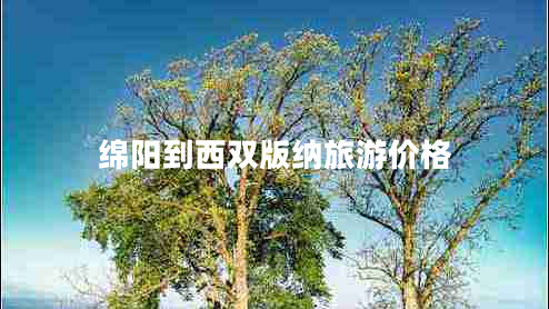 綿陽到西雙版納旅游價(jià)格