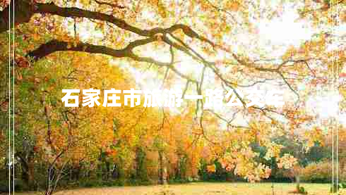 石家莊市旅游一路公交車(chē)