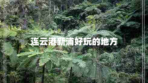 連云港新浦好玩的地方