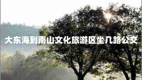 大東海到南山文化旅游區(qū)坐幾路公交 大東海到南山文化旅游區(qū)坐幾路公交