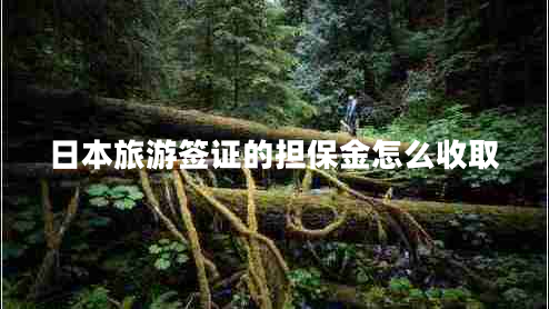 日本旅游簽證的擔(dān)保金怎么收取