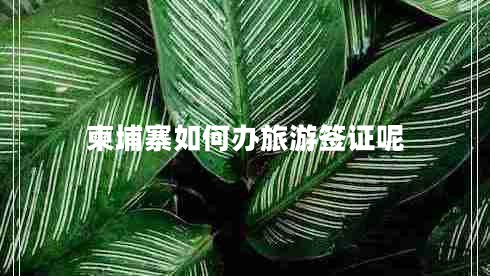 柬埔寨如何辦旅游簽證呢 柬埔寨如何辦旅游簽證呢