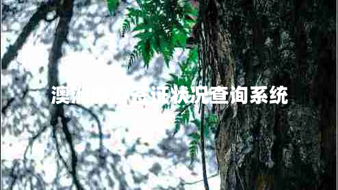 澳洲旅游簽證狀況查詢系統(tǒng)