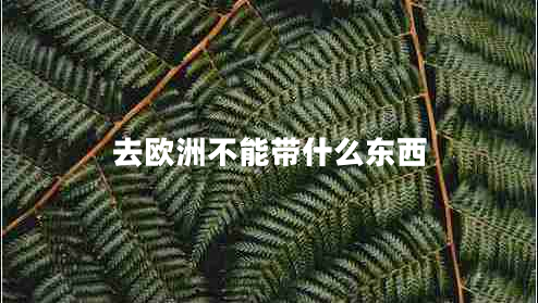 去歐洲不能帶什么東西